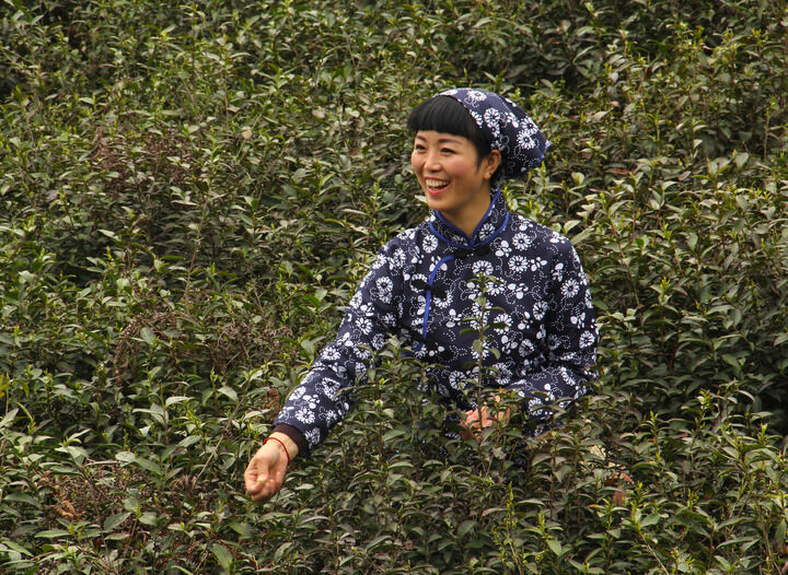 雨伞迷情